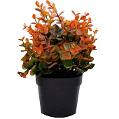  Искусственный цветок h=25см в кашпо 8х10см микс арт.19033-01655 Код261807 