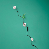  Интерьерный декор из бамбука, цветы пластик 200 см белый   7779960 