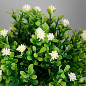  Искусственный цветок в горшке «Цветочная симфония», 8?17 см, МИКС 