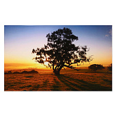  Картина Дерево, 60х100 см, 10236835 