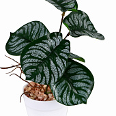  Искусственный цветок в горшке Филодендрон 7,5х20 см 9789751 