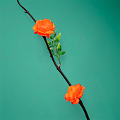  Интерьерный декор из бамбука, цветы пластик 200 см оранжевый   7779958 