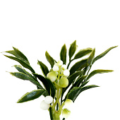  Искусственный цветок Снежноягодник в вазе Размер: 17х16х21см 