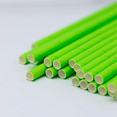  Трубочки одноразовые для напитков 25 шт. "Party go", green (197 мм) 