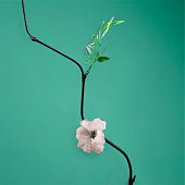  Интерьерный декор из бамбука, цветы пластик 200 см белый   7779960 