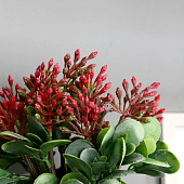  Искусственный цветок в горшке Сенполия галант 14х23 см, микс 9222725 