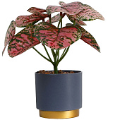  Искусственный цветок в горшке Аглаонема колор 7,5х15 см  10084573 