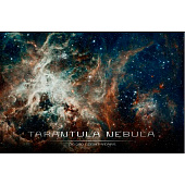  Картина стекло Туманность тарантула 50х70 