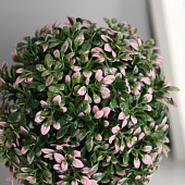  Искусственный цветок в горшке Цветные листочки 10х19 см, микс 1659309 