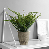  Искусственный цветок в горшке Нефролепис премиум, 24х8,5 см, микс, 10463223 