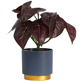  Искусственный цветок в горшке Алоказия колор 7,5х15 см  10084572 