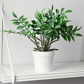  Искусственный цветок в горшке Замиокулькас 8,5х22 см 9789754 