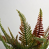  Искусственный цветок в горшке Нефролепис премиум, 24х8,5 см, микс, 10463223 