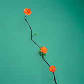  Интерьерный декор из бамбука, цветы пластик 200 см оранжевый   7779958 