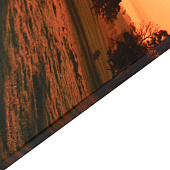  Картина Дерево, 60х100 см, 10236835 