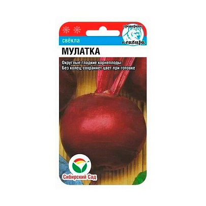 Свекла Мулатка, СибСад Свекла Мулатка, СибСад