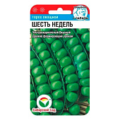 Горох Шесть недель, СибСад Горох Шесть недель, СибСад