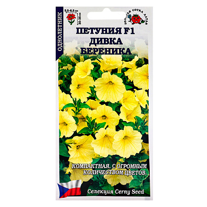 Петуния Дивка Береника , ЗС Петуния Дивка Береника , ЗС