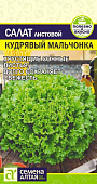 Салат Кудрявый Мальчонка СА Салат Кудрявый Мальчонка СА