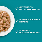 Влажный корм для кошек ONE STERIL Курица с Зелеными Бобами 75г Влажный корм для кошек ONE STERIL Курица с Зелеными Бобами 75г