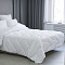 Одеяло 172х205 стеганое стандарт Hotel Collection Белый 