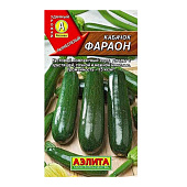 Кабачок Фараон, Аэлита Кабачок Фараон, Аэлита