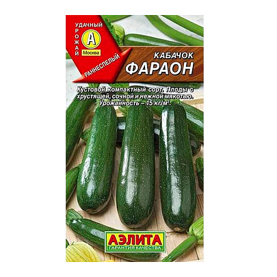 Кабачок Фараон, Аэлита Кабачок Фараон, Аэлита