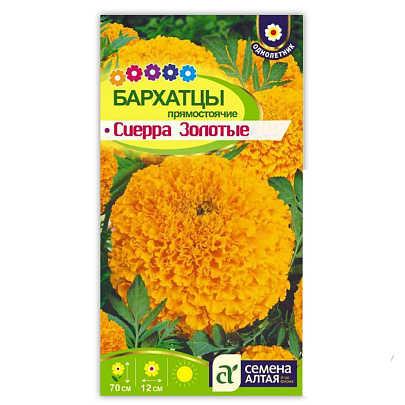  Бархатцы Сиерра Золотые СА 