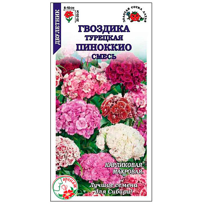 Гвоздика Турецкая Пиноккио ЗС Гвоздика Турецкая Пиноккио ЗС