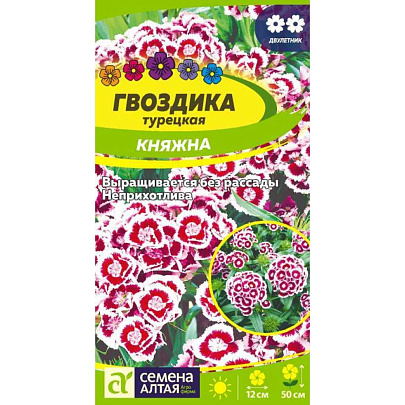 Гвоздика Княжна турецкая СА Гвоздика Княжна турецкая СА