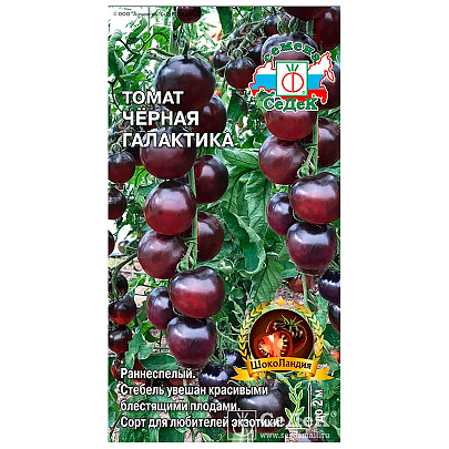 Томат Черная Галактика, Седек Томат Черная Галактика, Седек