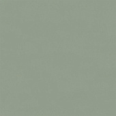  Обои 1.06х10м Physalis арт. 7308-12 Зеленый фон /Euro Decor 6 