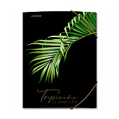 Папка на резинке А4 deVENTE Tropicana, 1 отделение, 400 мкм, 3070227 Папка на резинке А4 deVENTE Tropicana, 1 отделение, 400 мкм, 3070227