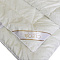  Одеяло 200х215 SWEET DREAMS 200/002-SW 