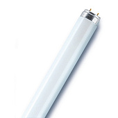  Лампа люминесцентная 36W/640/OSRAM 