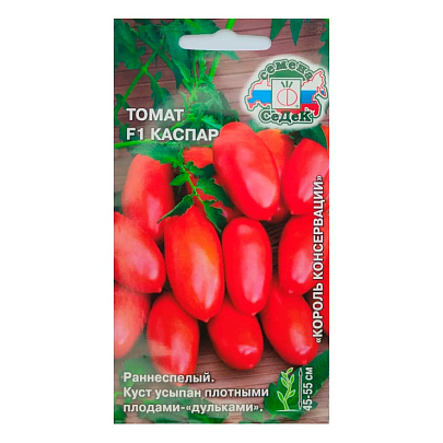 Томат Каспар, Седек Томат Каспар, Седек