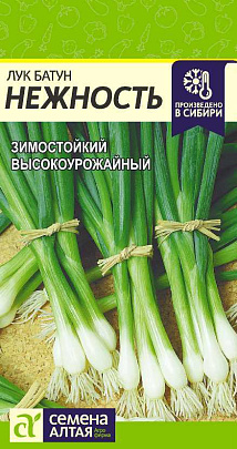 Лук Батун Нежность СА Лук Батун Нежность СА