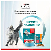 Влажный корм для кошек ONE Говядина с Морковью 75г Влажный корм для кошек ONE Говядина с Морковью 75г