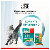 Влажный корм для кошек ONE домашних Курица с Морковью 75г Влажный корм для кошек ONE домашних Курица с Морковью 75г