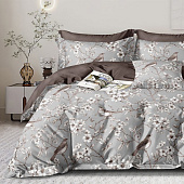 Комплект постельного белья 1,5 спальный Cleo HOME Поплин Pure Cotton 15/011-PCE Комплект постельного белья 1,5 спальный Cleo HOME Поплин Pure Cotton 15/011-PCE