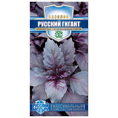Базилик Русский гигант фиолетовый Базилик Русский гигант фиолетовый
