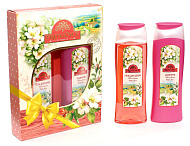 Подарочный набор PROVANCE WILD ROSE №121 женский (шампунь 250мл+гель для душа 250мл) /12 Подарочный набор PROVANCE WILD ROSE №121 женский (шампунь 250мл+гель для душа 250мл) /12