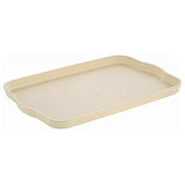 Поднос Sugar&Spice Honey шампань SE112510001 Поднос Sugar&Spice Honey шампань SE112510001