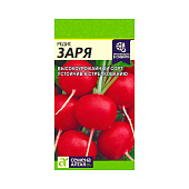  Редис Заря СА 2 гр. 