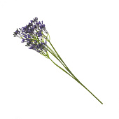  Цветок искусственный Кермек, 20х20х53 см, 262100 