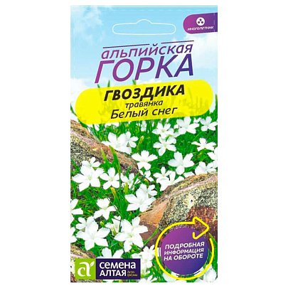 Гвоздика травянка Белый Снег, многолетник СА Гвоздика травянка Белый Снег, многолетник СА
