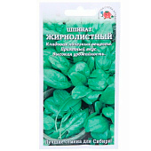  Шпинат Жирнолистный, ЗС 