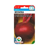 Свекла Мулатка, СибСад Свекла Мулатка, СибСад