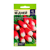 Редис 18 дней СА 2 гр. Редис 18 дней СА 2 гр.