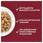 Влажный корм для собак ONE МИНИ Акт Соб Утка Паст Зел Фас 85г Влажный корм для собак ONE МИНИ Акт Соб Утка Паст Зел Фас 85г